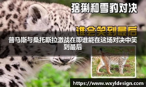 普马斯与桑托斯拉激战在即谁能在这场对决中笑到最后